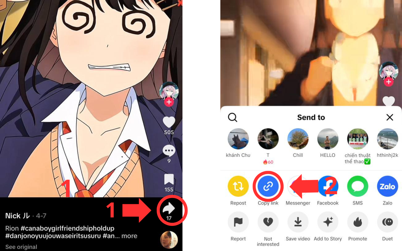 Copy the link to the video you want to download