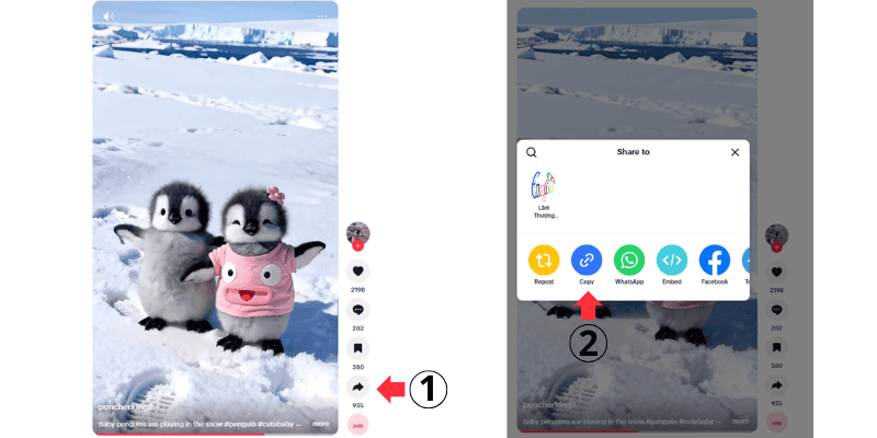 Mở TikTok và sao chép đường dẫn của video bạn muốn xem.