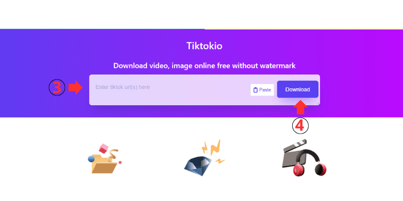Paste the Link into Tiktokio