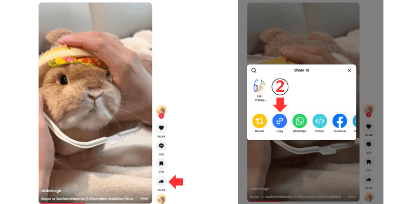 Copy the TikTok Link