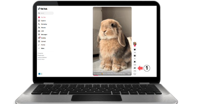 Choose video you want download