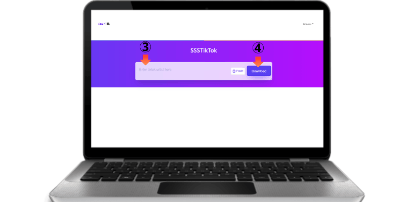 Paste the Link into SSSTikTok