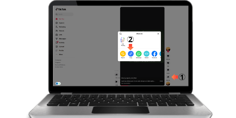 Copy the TikTok Video Link